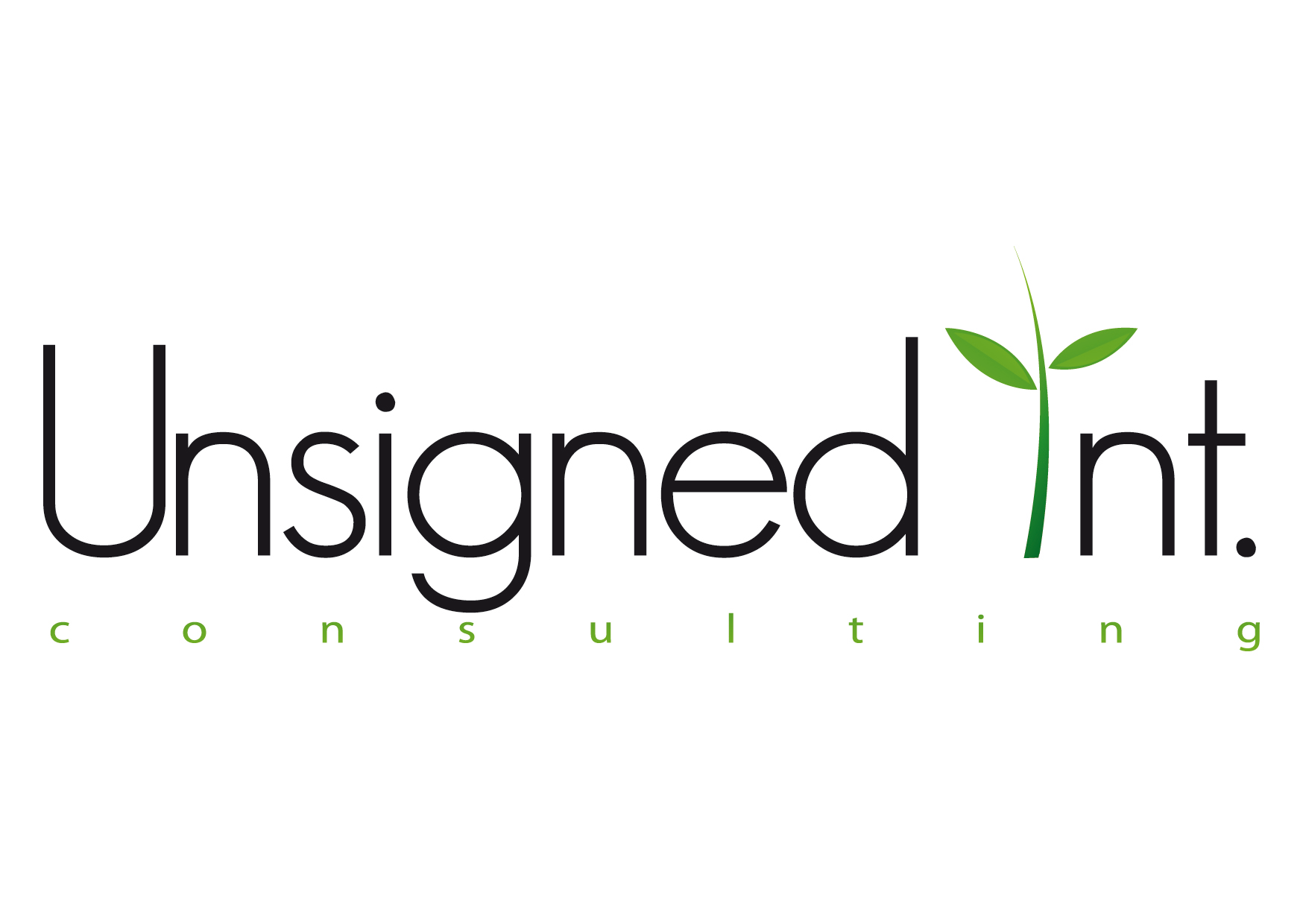 Unsigned Int Consulting