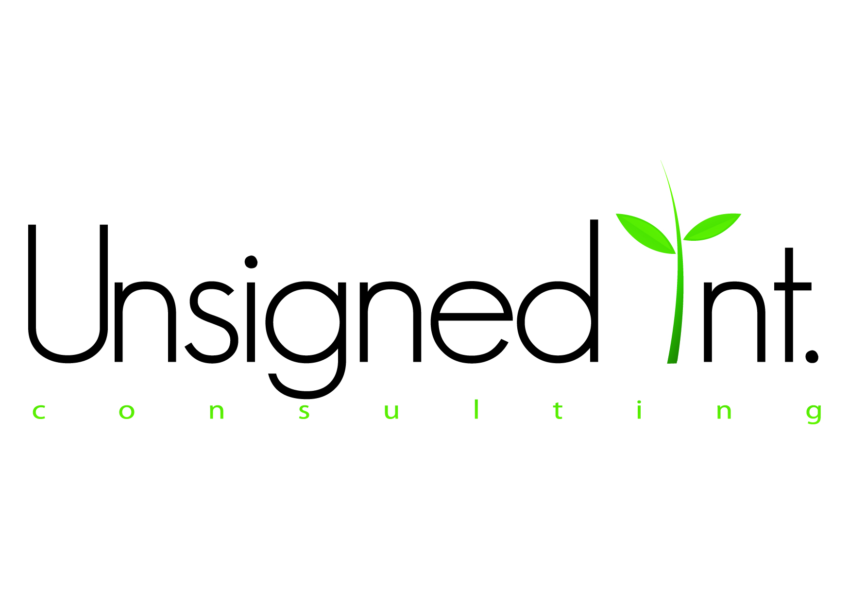 Unsigned Int Consulting